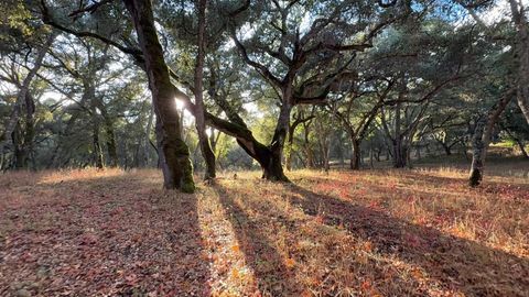 Photo of 9 Garzas (Lot 49) Trail, Carmel, CA 93923 (MLS # ML82042776)