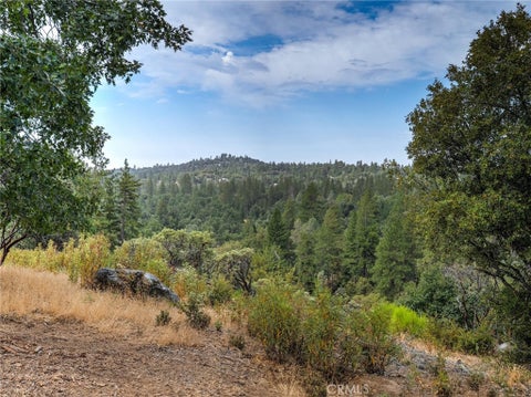 Photo of 1539001 Vista Lago, Mariposa, CA 95338 (MLS # MP26180234)