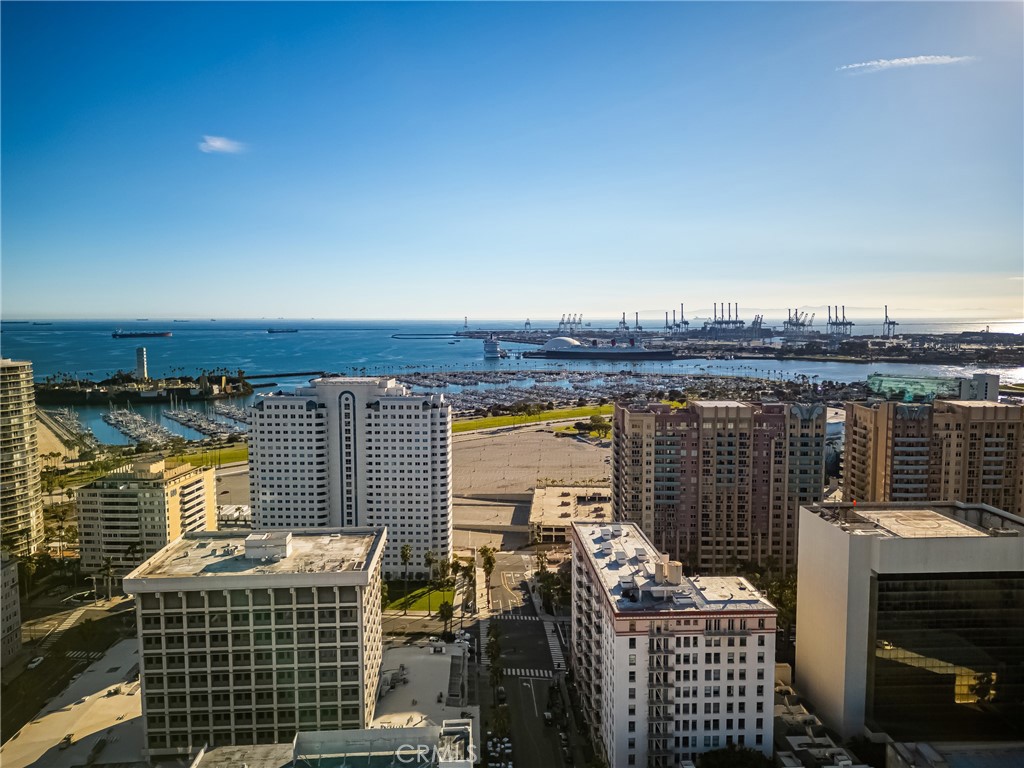 455 E Ocean Boulevard 411