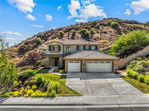 29224 Sandpiper Drive Lake Elsinore CA 92530