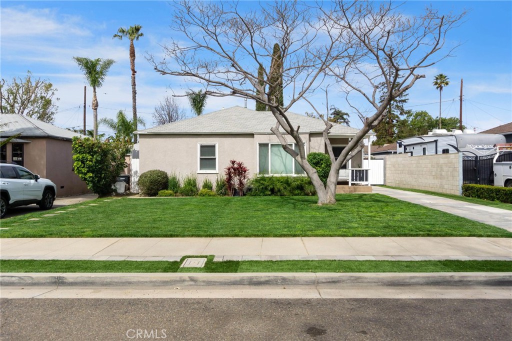 1127 Acacia