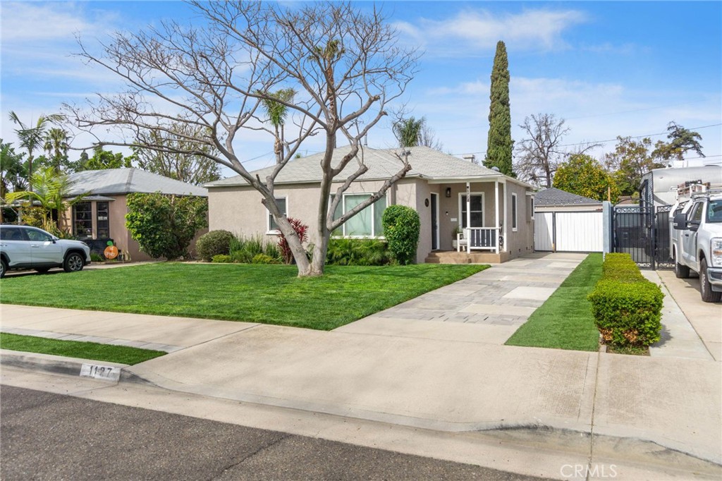 1127 Acacia