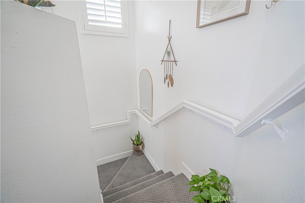 26943 Hillsborough Parkway 25