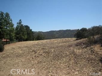 22800 Mulholland