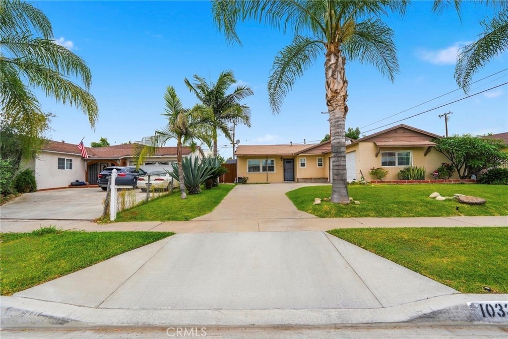 1033 Clintwood