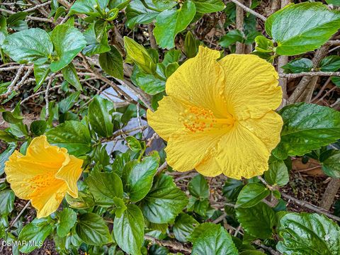 Tiny photo for 11535 Northdale Drive, Moorpark, CA 93021 (MLS # 226000396)