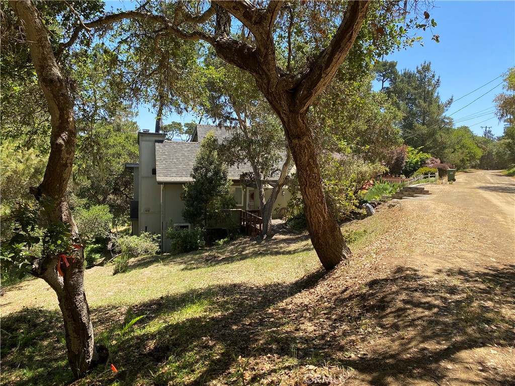 Cambri Pines Manor 02 - Residential