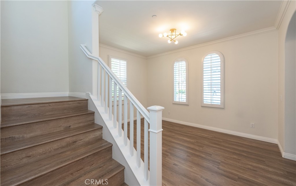 23 Bower Tree