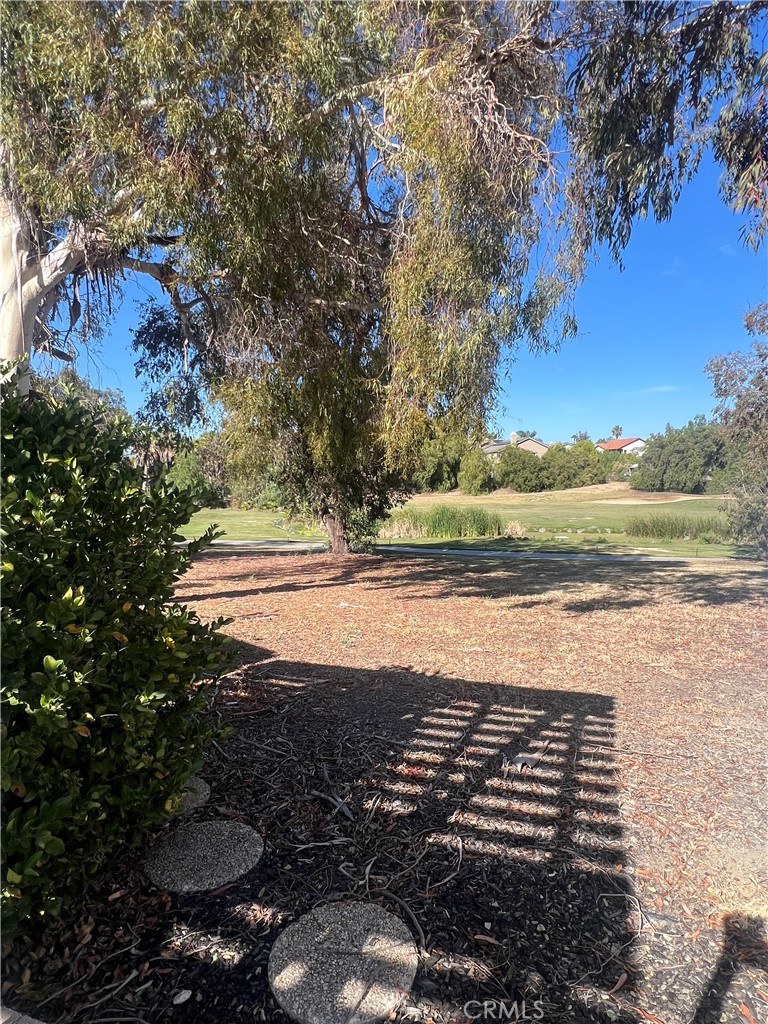 38310 Camino Cinife