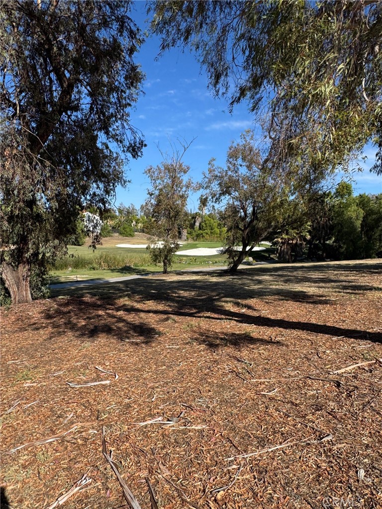 38310 Camino Cinife
