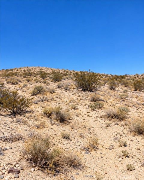 Photo of 1 2 MILE, 29 Palms, CA 92277 (MLS # OC26218130)