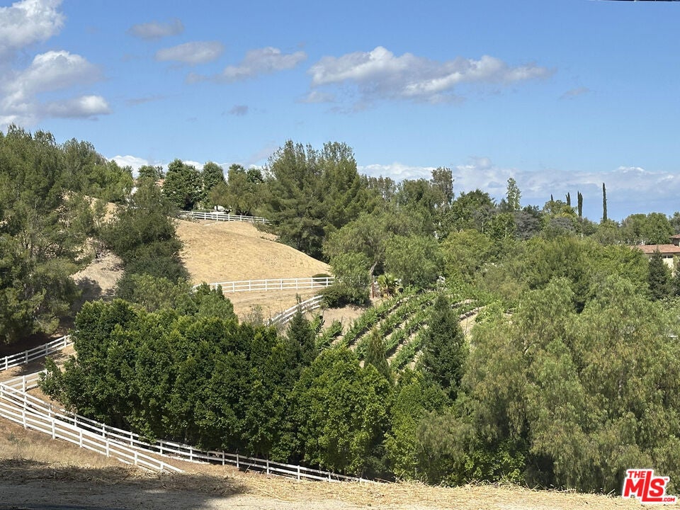 24962 Eldorado Meadow Road