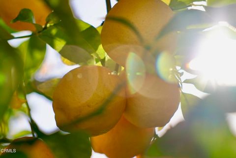 Tiny photo for 7405 Loma Vista Road, Ventura, CA 93003 (MLS # V1-34487)