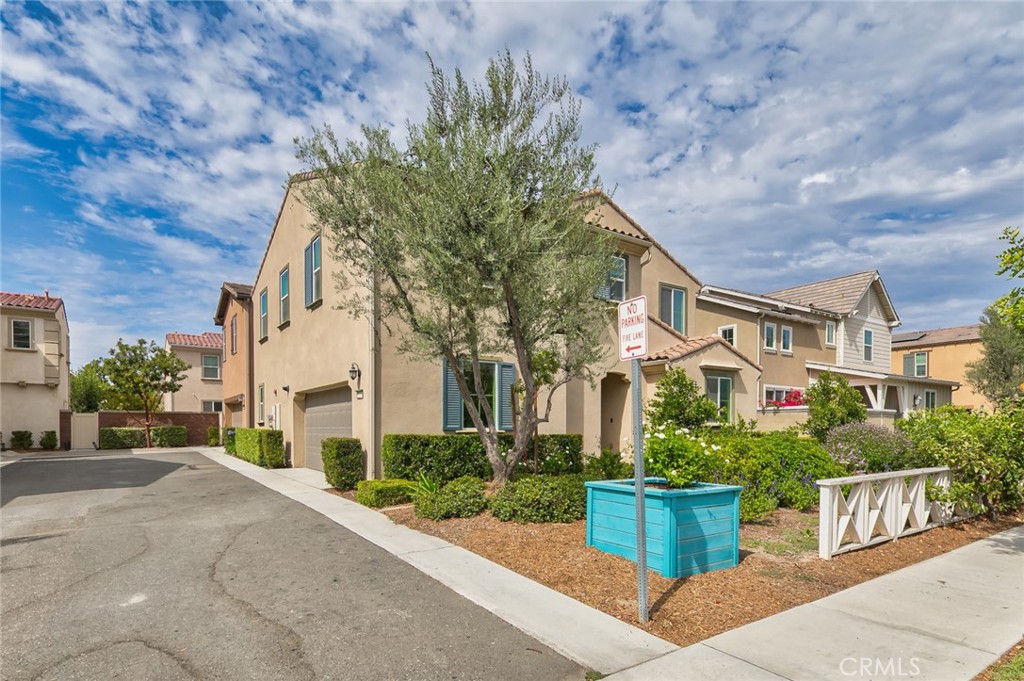 8704 Celebration Street