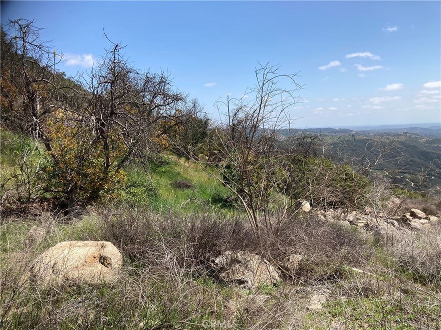There is an opportunity to own a view parcel in the De Luz area, located at Los Gatos Rd/Crumley Ct. The property has paved road access, water and power in easement fronting the property. The topography is moderate to steep with no flat areas making it one of the more competitively priced properties in the area. Located within Santa Margarita Association, residential 2,500 sf min. and in Ag Preserve = lower taxes. Also available are the following nearby lots priced as follows: Lot 2 - $198,500, Lot 3 - $149,000, Lot 5 - $179.500, & Lot 6 - $179.500. For maps and more information, contact agent call or text.  OWNER MAY FINANCE!