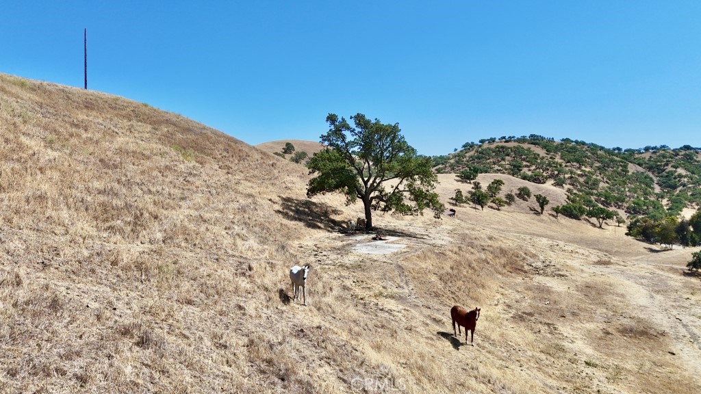 PR Linne(280) - Residential