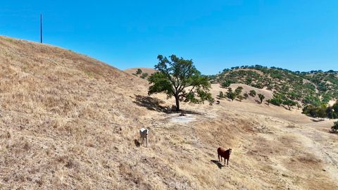 Tiny photo for 1924 Surrey Way, Paso Robles, CA 93446 (MLS # NS25149243)