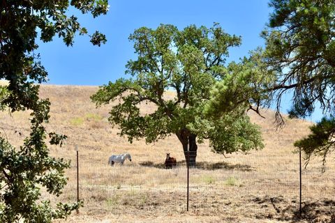 Tiny photo for 1924 Surrey Way, Paso Robles, CA 93446 (MLS # NS25149243)