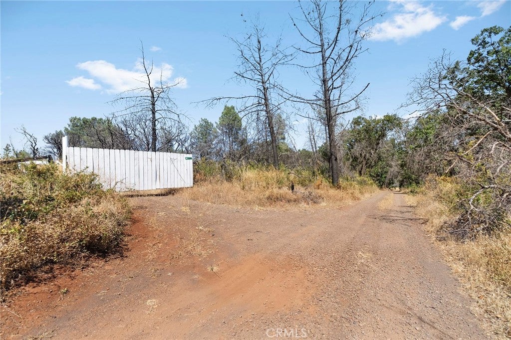 49 Bear Paw Road
