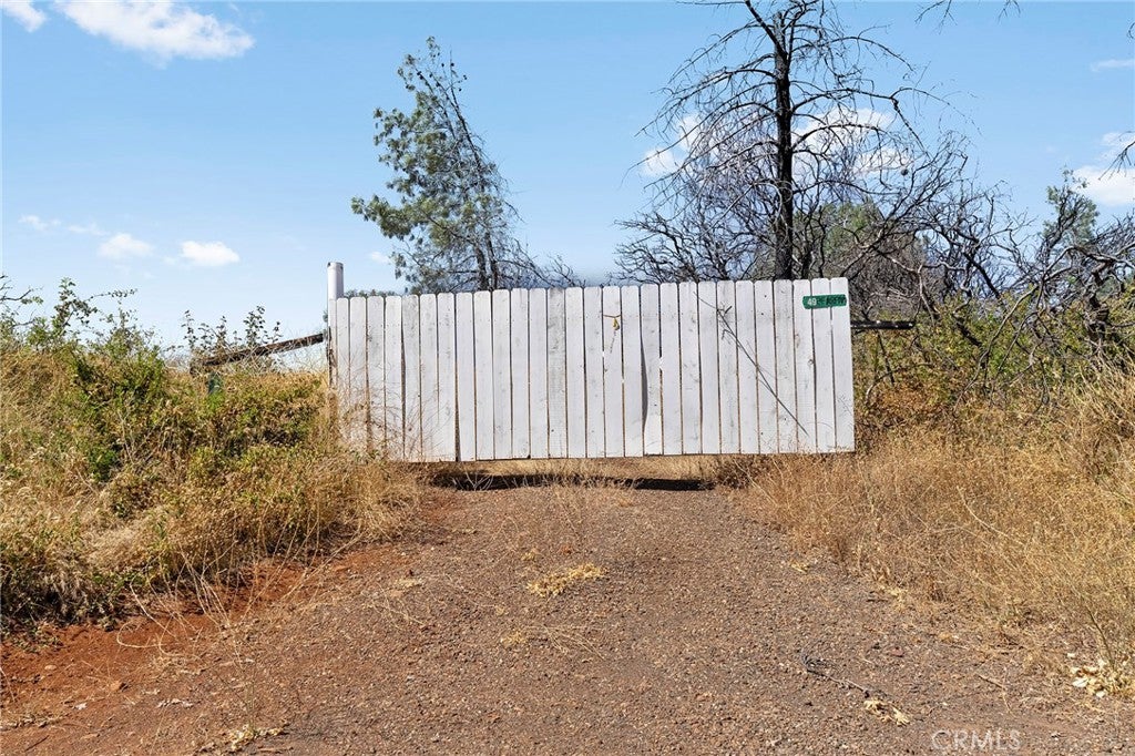 49 Bear Paw Road