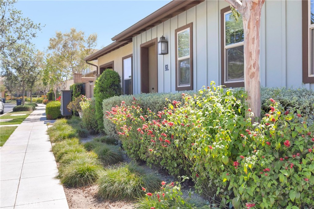 61 Garcilla Drive