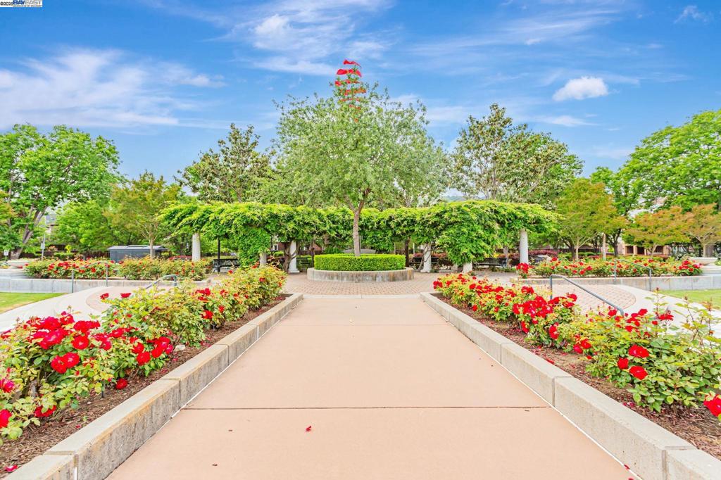 TOWN SQUARE - Residential