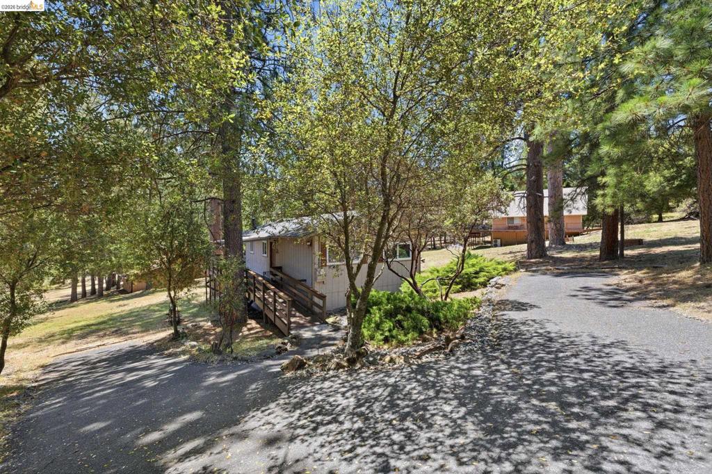 19666 Cottonwood St