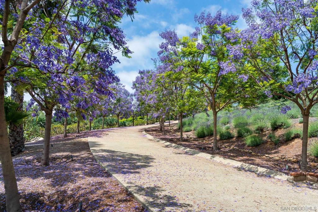 Rancho Santa Fe - Residential