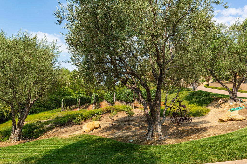 Country Club Estates NR-785 - 785 - Residential