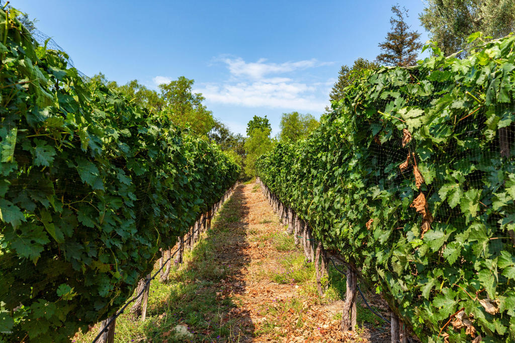 Country Club Estates NR-785 - 785 - Residential