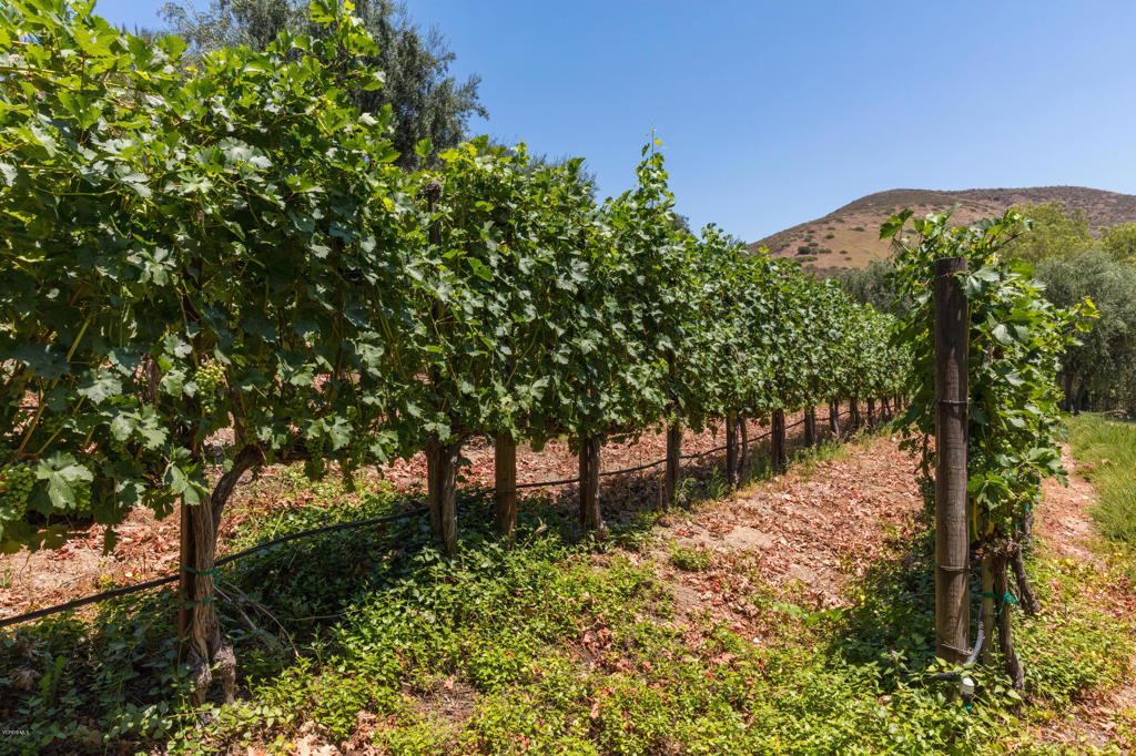 Country Club Estates NR-785 - 785 - Residential