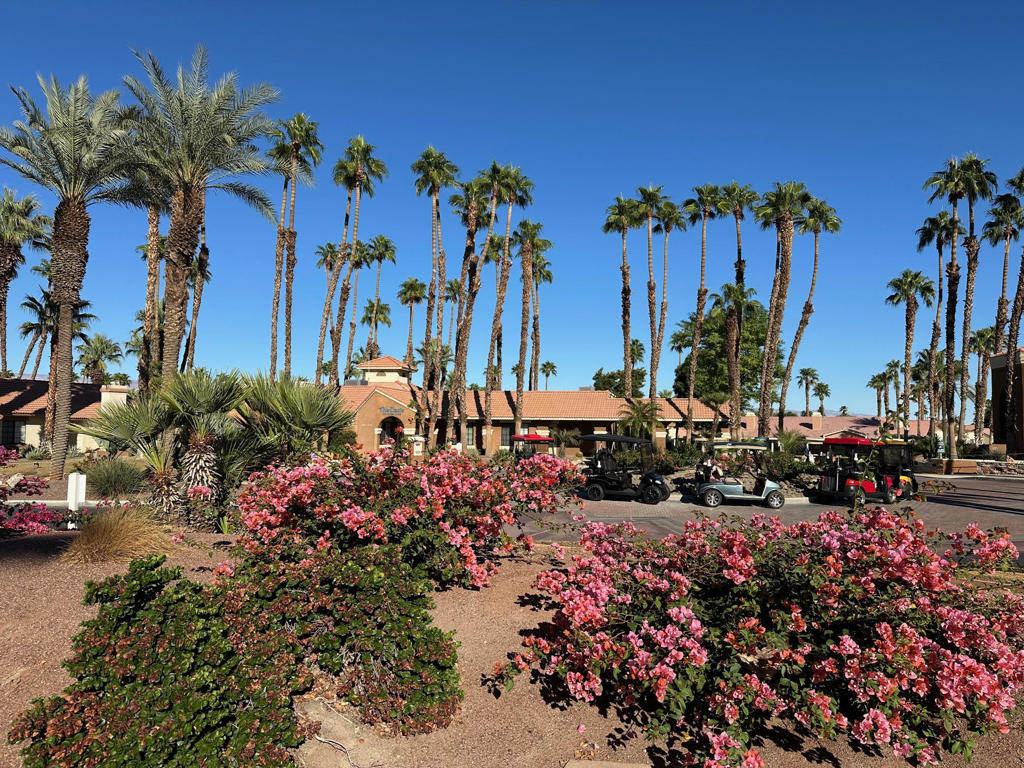 Oasis Country Club - Residential Lease