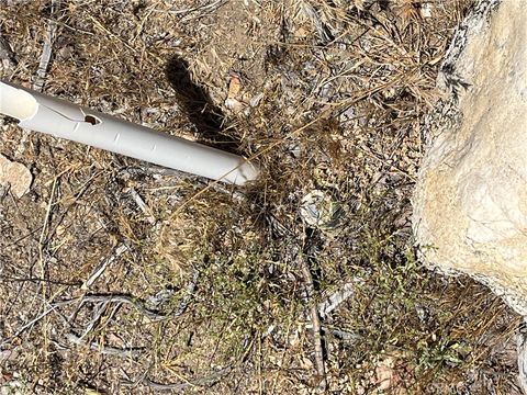 0 Smoke Tree Phelan CA 92371