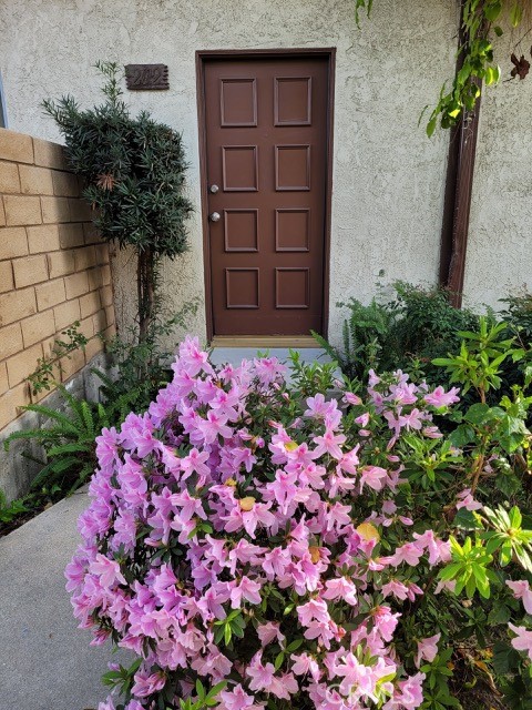 9039 Van Nuys Boulevard 202