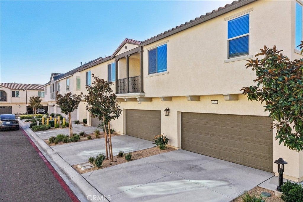 5254 Wildflower