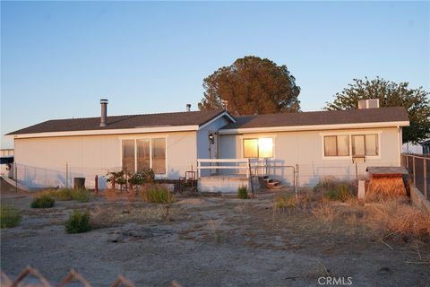 Photo of 818 60th Street W, Rosamond, CA 93560 (MLS # CV25130442)