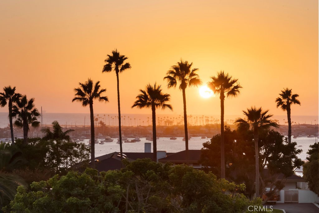 Corona del Mar South of PCH (CDMS) - Residential Lease