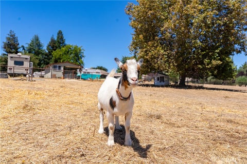 Tiny photo for 1380 Shane LN, Templeton, CA 93465 (MLS # NS26156316)