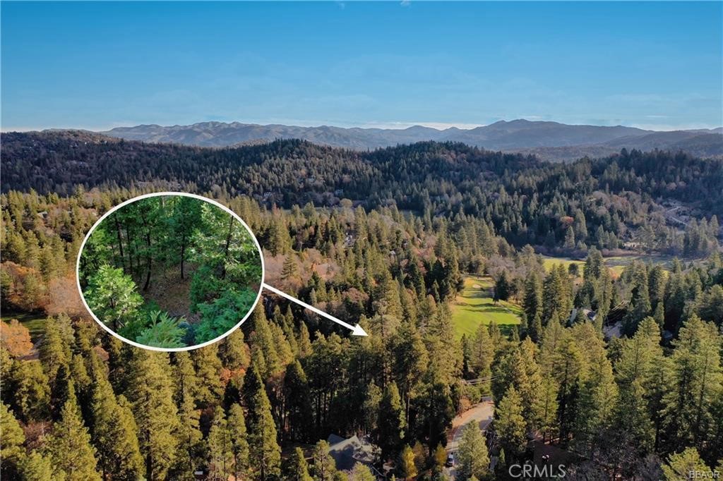 Gorgeous shaded lot located near the "The Monster" 15th Fairway. This easy to get to lot is looking for a perfect home to go with it! Get a head start as LACSD water meter and a permitted parking platform w/ underdeck storage lockers are included. Close to the clubhouse by cart & the Eagle Ridge nature area, great commuter location on county maintained road, with access to full lake rights to provide you with the complete Lake Arrowhead living experience. The property is staked. Plans from the previous owner are available & would need to be resubmitted to county & AWAC. If viewing the property, please wear appropriate footwear & investigate from the left side of the parking deck as the stairs and path on the right are on the neighbors property. - please no trespassing.