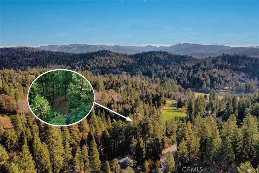 Gorgeous shaded lot located near the "The Monster" 15th Fairway. This easy to get to lot is looking for a perfect home to go with it! Get a head start as LACSD water meter and a permitted parking platform w/ underdeck storage lockers are included. Close to the clubhouse by cart & the Eagle Ridge nature area, great commuter location on county maintained road, with access to full lake rights to provide you with the complete Lake Arrowhead living experience. The property is staked. Plans from the previous owner are available & would need to be resubmitted to county & AWAC. If viewing the property, please  wear appropriate footwear & investigate from the left side of the parking deck as the stairs and path on the right are on the neighbors property. - please no trespassing.