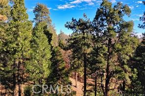 Arrowhead Woods (AWHW) - Land