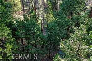 Arrowhead Woods (AWHW) - Land
