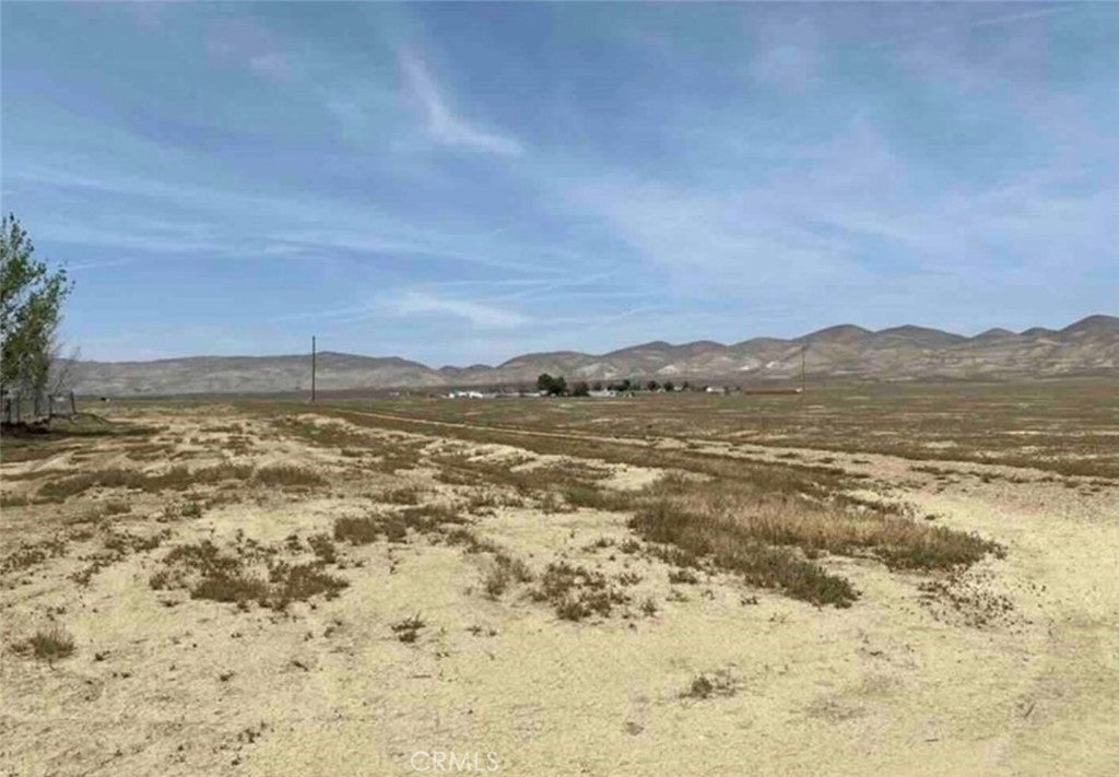 14555 Bellflower