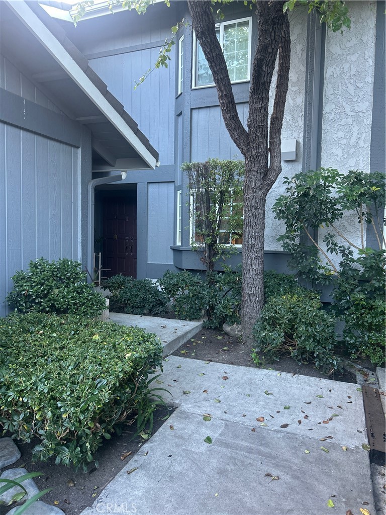 3324 Calle La Veta