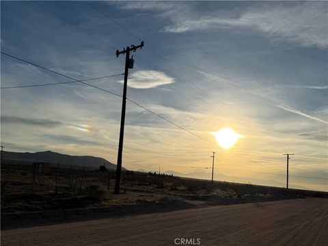 Photo of 25733 Lancelet Street, Apple Valley, CA 92307 (MLS # HD26021227)