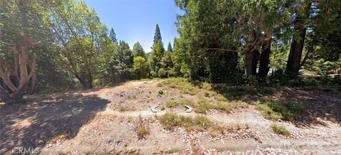 Photo of 2252 Primrose Dr, Willits, CA 95490 (MLS # SR26036909)