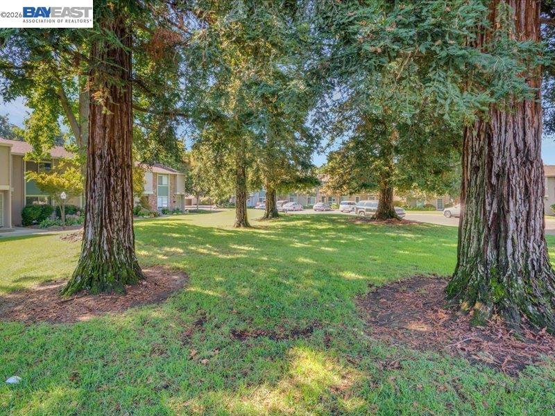 1289 Pine Creek Way D