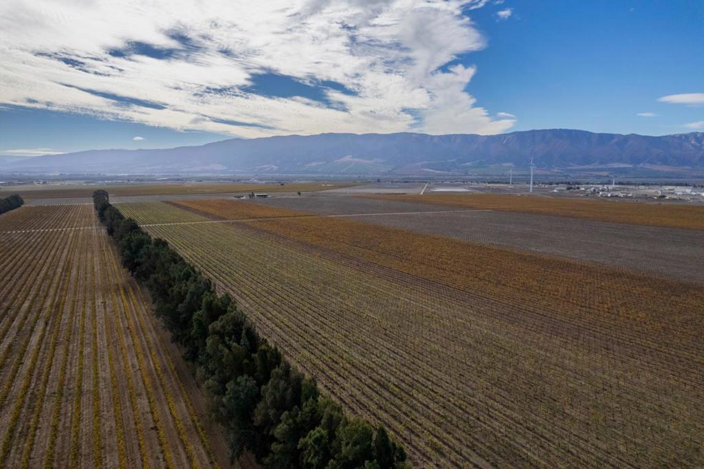 31102 Camphora Gloria Road