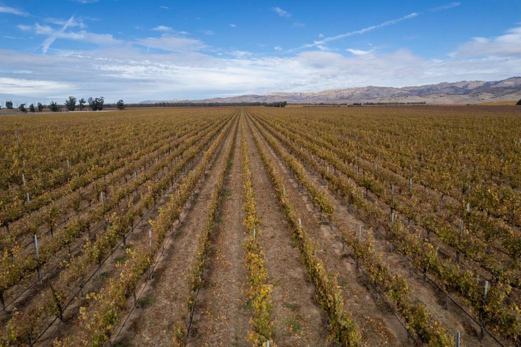 31102 Camphora Gloria Road