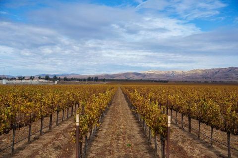 31102 Camphora Gloria Road Soledad CA 93960
